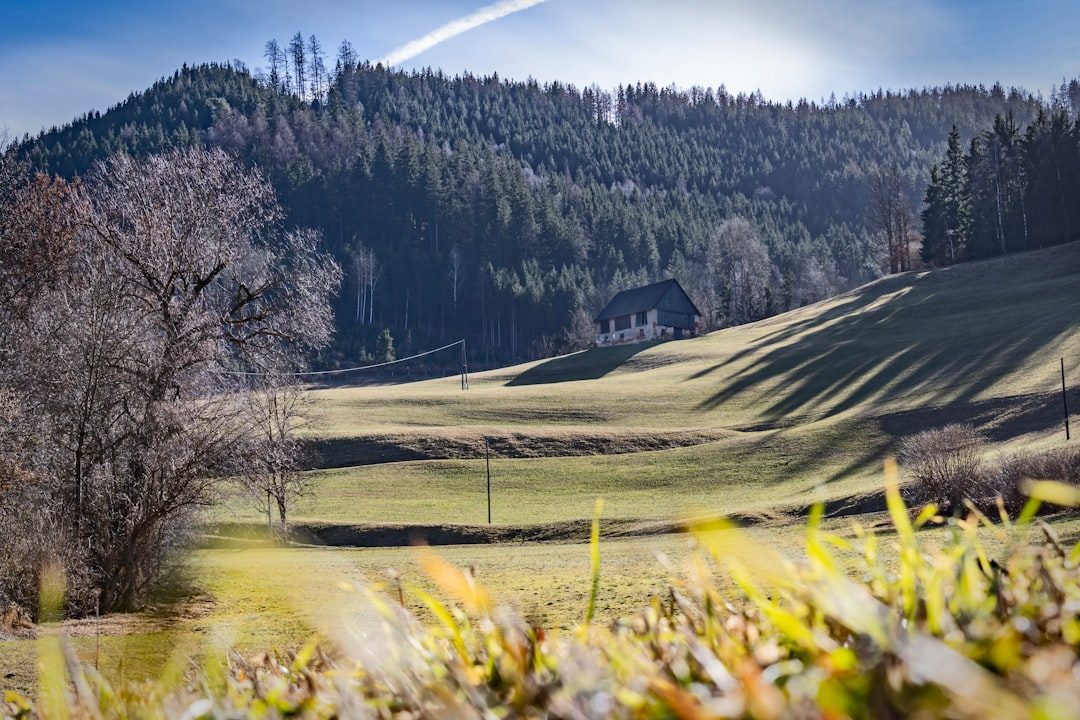 a grassy field with a house in the background