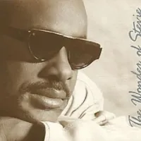 I Ain't Gonna Stand For It