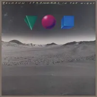 Strangers In The Night