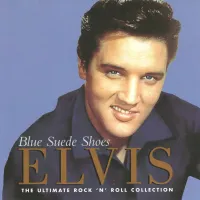 Wear My Ring Around Your Neck