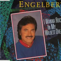 I Wanna Rock You In My Wildest Dreams