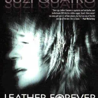 If You Can't Give Me Love