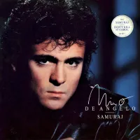 Don't Ever Lose the Flame